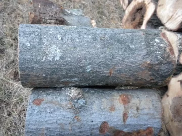 [Hearth.com] Log 30 ID,  I'm Thinging Hard Maple?