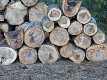 [Hearth.com] Log 30 ID,  I'm Thinging Hard Maple?