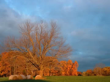 [Hearth.com] Fall Pics - New England - add yours....