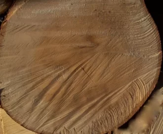 [Hearth.com] Wood ID