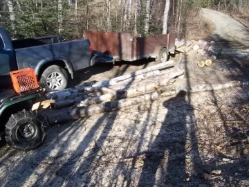 [Hearth.com] Sunny day wood cutting