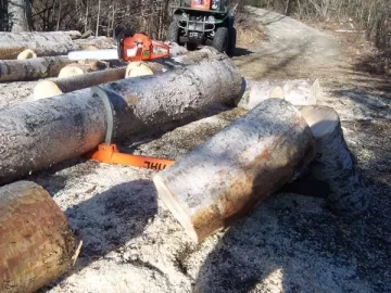 [Hearth.com] Sunny day wood cutting