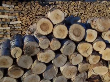 [Hearth.com] Sunny day wood cutting