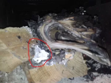 [Hearth.com] Wife lit first fire LOL