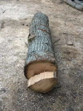 [Hearth.com] Log 29 ID, Is This An Oak?