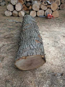[Hearth.com] Log 29 ID, Is This An Oak?