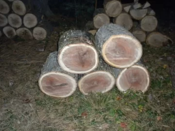 [Hearth.com] Log 29 ID, Is This An Oak?