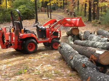 [Hearth.com] Had a visit from the pine tree fairy