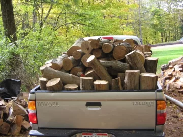 [Hearth.com] Worked all day in the locust woods again.