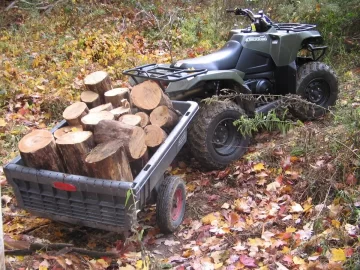 [Hearth.com] Worked all day in the locust woods again.