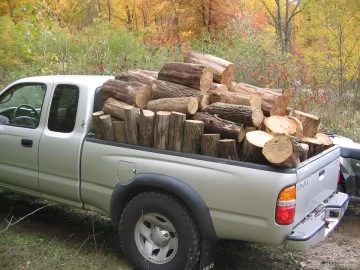 [Hearth.com] Worked all day in the locust woods again.