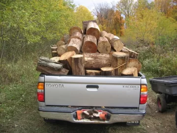 [Hearth.com] Worked all day in the locust woods again.