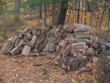[Hearth.com] Worked all day in the locust woods again.