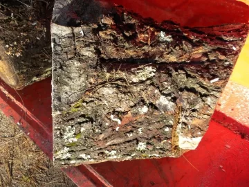 [Hearth.com] Log 32 ID.  Just a Tiny Hunk. Hard or Soft?