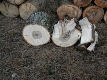 [Hearth.com] Log 32 ID.  Just a Tiny Hunk. Hard or Soft?