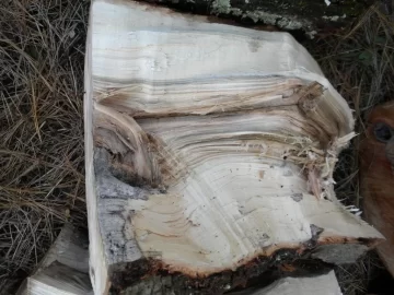 [Hearth.com] Log 32 ID.  Just a Tiny Hunk. Hard or Soft?