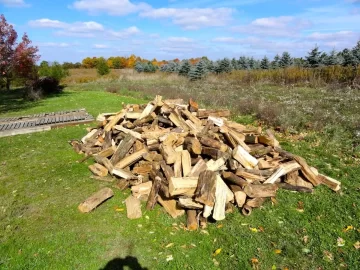 [Hearth.com] Test, First upload, Future btu's