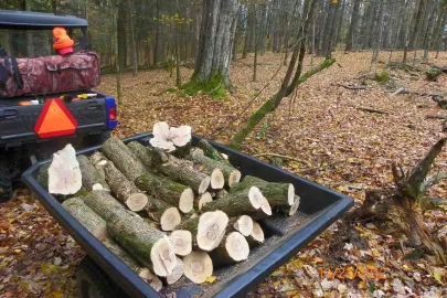 [Hearth.com] Two Loads of Ironwood