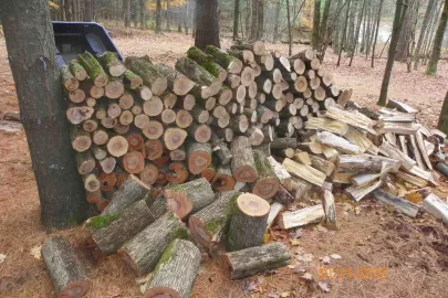 [Hearth.com] Two Loads of Ironwood
