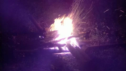 [Hearth.com] Need Fire.....