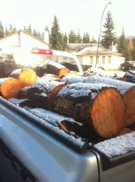 [Hearth.com] Winter wood storage