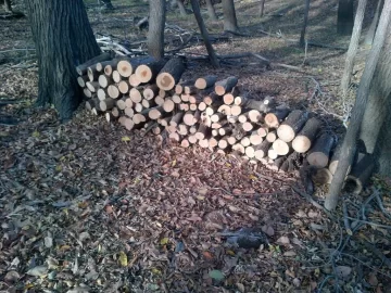 [Hearth.com] When I get asked what its like to have my In-Laws as close neighbours....