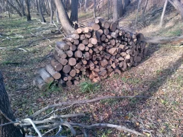[Hearth.com] When I get asked what its like to have my In-Laws as close neighbours....