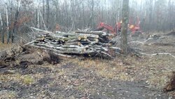 My pile o' junk & land clearing pictures