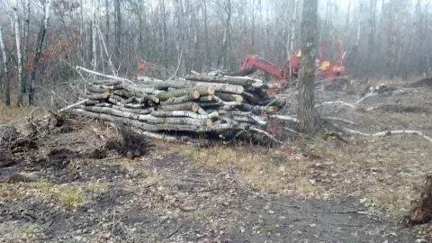 [Hearth.com] My pile o' junk & land clearing pictures