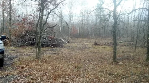 [Hearth.com] My pile o' junk & land clearing pictures