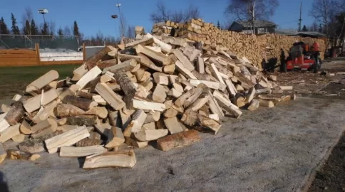 [Hearth.com] Split some birch today