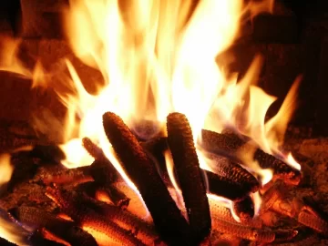 [Hearth.com] Cob Fire