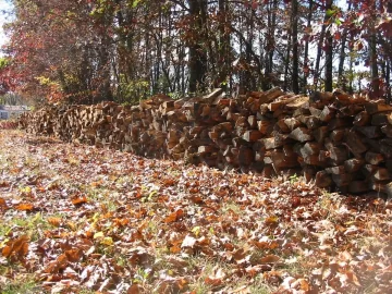 [Hearth.com] Big Oak