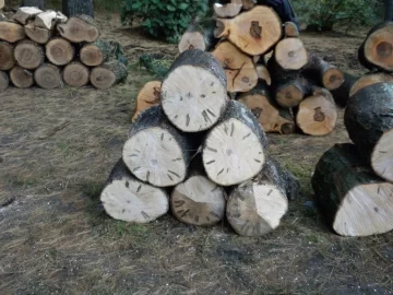[Hearth.com] Log 27 ID Please. Hard Maple?