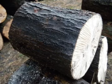 [Hearth.com] Log 27 ID Please. Hard Maple?