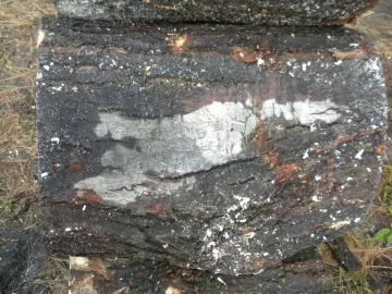 [Hearth.com] Log 27 ID Please. Hard Maple?