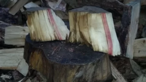 [Hearth.com] Wood ID