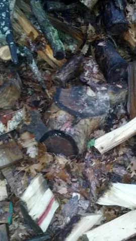 [Hearth.com] Wood ID