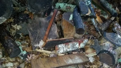 [Hearth.com] Wood ID