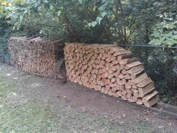 [Hearth.com] Locust rounds?