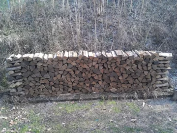 [Hearth.com] Locust rounds?