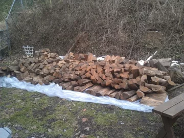 [Hearth.com] Locust rounds?