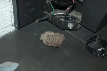 [Hearth.com] Found this in my Blazeking blower fan