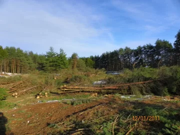 [Hearth.com] What happens to your woods ?