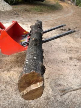 [Hearth.com] Log 34 ID. Is this another soft maple?