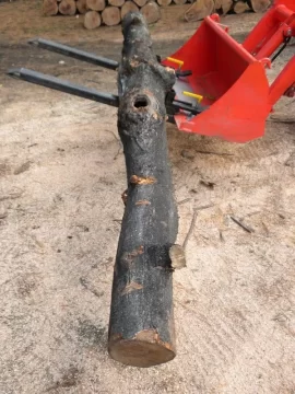 [Hearth.com] Log 34 ID. Is this another soft maple?