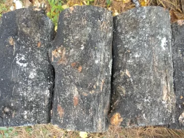 [Hearth.com] Log 34 ID. Is this another soft maple?