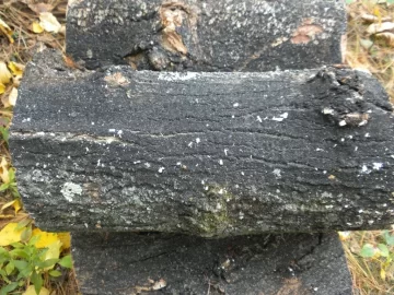 [Hearth.com] Log 34 ID. Is this another soft maple?
