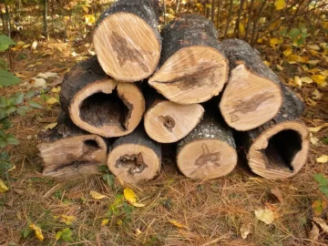 [Hearth.com] Log 34 ID. Is this another soft maple?
