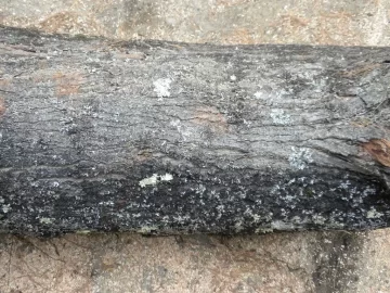[Hearth.com] Log 35 ID. Lets see if I got this one right...